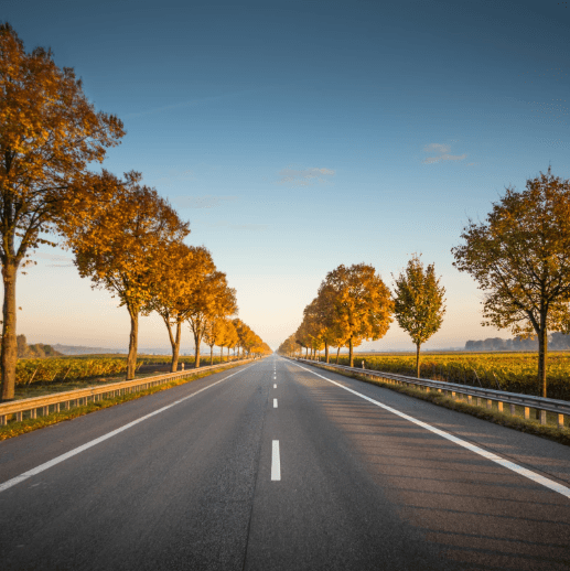 European road
